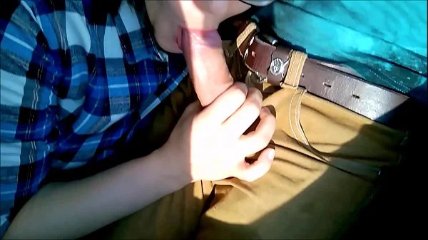 Public Blowjob in the train